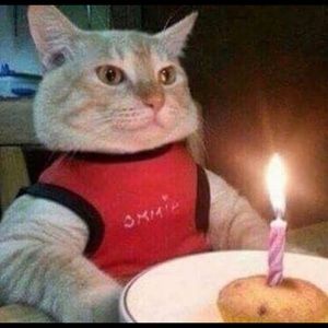 Meet your Posher, Richard